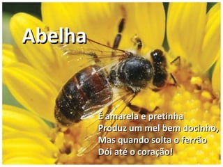 É amarela e pretinhaÉ amarela e pretinha
Produz um mel bem docinho,Produz um mel bem docinho,
Mas quando solta o ferrãoMas quando solta o ferrão
Dói até o coração!Dói até o coração!
AbelhaAbelha
 