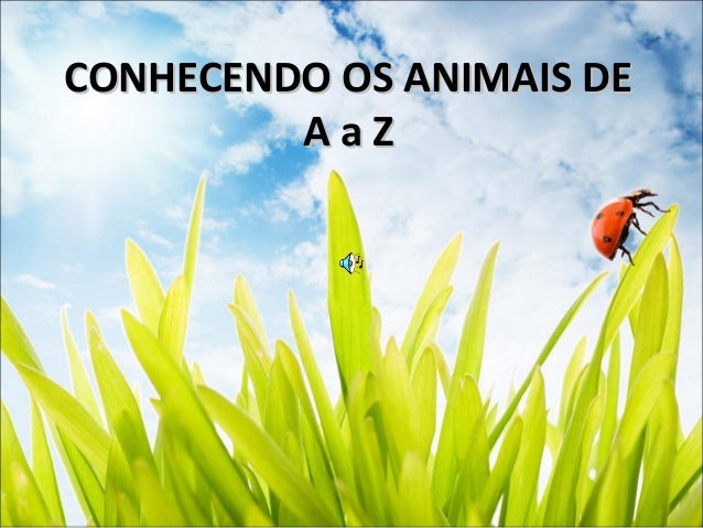 Projeto mais educação Projeto mais educação