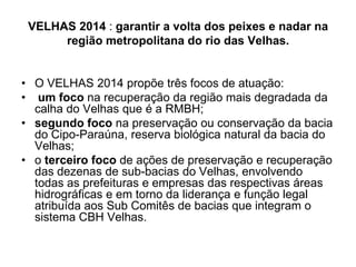VELHAS 2014 : garantir a volta dos peixes e nadar na
      região metropolitana do rio das Velhas.


• O VELHAS 2014 propõe três focos de atuação:
• um foco na recuperação da região mais degradada da
  calha do Velhas que é a RMBH;
• segundo foco na preservação ou conservação da bacia
  do Cipo-Paraúna, reserva biológica natural da bacia do
  Velhas;
• o terceiro foco de ações de preservação e recuperação
  das dezenas de sub-bacias do Velhas, envolvendo
  todas as prefeituras e empresas das respectivas áreas
  hidrográficas e em torno da liderança e função legal
  atribuída aos Sub Comitês de bacias que integram o
  sistema CBH Velhas.
 