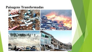 Paisagens Transformadas
 