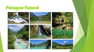 Paisagem Natural
 
