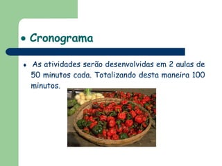    Cronograma    As atividades serão desenvolvidas em 2 aulas de 50 minutos cada. Totalizando desta maneira 100 minutos. 