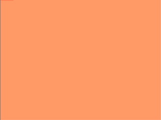 Entrevista com pessoas da comunidade.