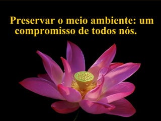 Preservar o meio ambiente: um compromisso de todos nós. 