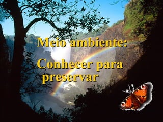 Meio ambiente: Conhecer para preservar 
