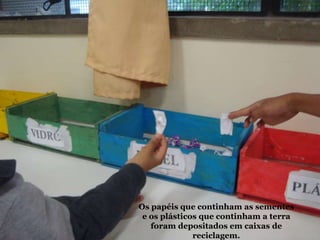 Os papéis que continham as sementes
e os plásticos que continham a terra
foram depositados em caixas de
reciclagem.
 
