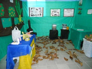 Projeto meio ambiente