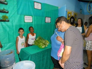 Projeto meio ambiente