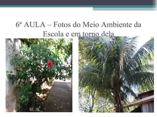 6ª AULA – Fotos do Meio Ambiente da
       Escola e em torno dela
 