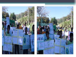 Projeto Meio Ambiente 2012