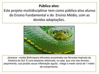 Público alvo:
Este projeto multidisciplinar tem como público-alvo alunos
do Ensino Fundamental e do Ensino Médio, com as
devidas adaptações.
,Jararaca - verde( Bothriopsis bilineata) encontrada nas florestas tropicais da
América do Sul. É uma serpente arborícola, ou seja, que vive nas árvores ;
peçonhenta, sua picada causa inflamação aguda; chega a medir cerca de 1 metro
de comprimento.
 