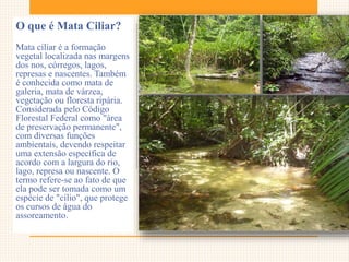 O que é Mata Ciliar?
Mata ciliar é a formação
vegetal localizada nas margens
dos nos, córregos, lagos,
represas e nascentes. Também
é conhecida como mata de
galeria, mata de várzea,
vegetação ou floresta ripária.
Considerada pelo Código
Florestal Federal como "área
de preservação permanente",
com diversas funções
ambientais, devendo respeitar
uma extensão específica de
acordo com a largura do rio,
lago, represa ou nascente. O
termo refere-se ao fato de que
ela pode ser tomada como um
espécie de "cílio", que protege
os cursos de água do
assoreamento.
 