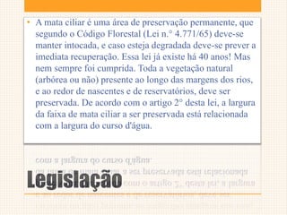 Legislação
• A mata ciliar é uma área de preservação permanente, que
segundo o Código Florestal (Lei n.° 4.771/65) deve-se
manter intocada, e caso esteja degradada deve-se prever a
imediata recuperação. Essa lei já existe há 40 anos! Mas
nem sempre foi cumprida. Toda a vegetação natural
(arbórea ou não) presente ao longo das margens dos rios,
e ao redor de nascentes e de reservatórios, deve ser
preservada. De acordo com o artigo 2° desta lei, a largura
da faixa de mata ciliar a ser preservada está relacionada
com a largura do curso d'água.
 