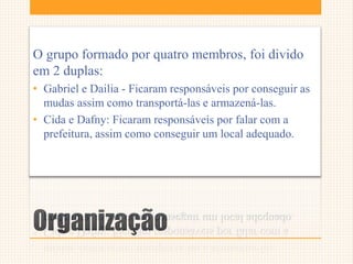 Organização
O grupo formado por quatro membros, foi divido
em 2 duplas:
• Gabriel e Dailia - Ficaram responsáveis por conseguir as
mudas assim como transportá-las e armazená-las.
• Cida e Dafny: Ficaram responsáveis por falar com a
prefeitura, assim como conseguir um local adequado.
 