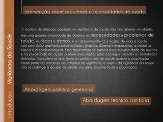 Projeto mestrado   vigilância da saúde - final