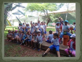 Projeto metamorfose pre_2a