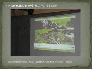  1º MOMENTO:VÍDEO YOU TUBE




 Vídeo Metamorfose - Ovo, Lagarta, Crisálida, Borboleta - Fev2010
 