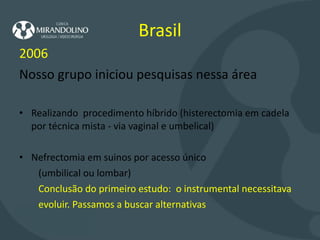 Brasil 2006 Nosso grupo iniciou pesquisas nessa área Realizando  procedimento híbrido (histerectomia em cadela por técnica mista - via vaginal e umbelical) Nefrectomia em suinos por acesso único (umbilical ou lombar) Conclusão do primeiro estudo:  o instrumental necessitava evoluir. Passamos a buscar alternativas  