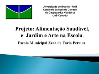 Universidade de Brasília – UnB
Centro de Estudos do Cerrado
da Chapada dos Veadeiros
-UnB Cerrado-

Projeto: Alimentação Saudável,
e Jardim e Arte na Escola.

 