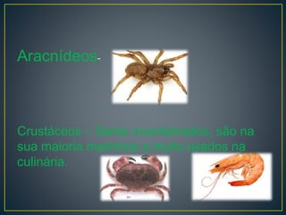 Aracnídeos-
Crustáceos – Seres invertebrados, são na
sua maioria marinhos e muito usados na
culinária.
 