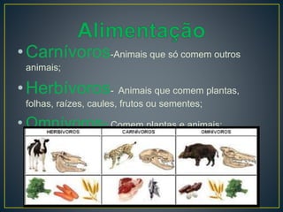•Carnívoros-Animais que só comem outros
animais;
•Herbívoros- Animais que comem plantas,
folhas, raízes, caules, frutos ou sementes;
• Omnívoros- Comem plantas e animais;
 