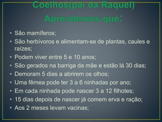• São mamíferos;
• São herbívoros e alimentam-se de plantas, caules e
raízes;
• Podem viver entre 5 e 10 anos;
• São gerados na barriga da mãe e estão lá 30 dias;
• Demoram 5 dias a abrirem os olhos;
• Uma fêmea pode ter 3 a 6 ninhadas por ano;
• Em cada ninhada pode nascer 3 a 12 filhotes;
• 15 dias depois de nascer já comem erva e ração;
• Aos 2 meses levam vacinas;
 