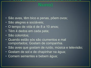 • São aves, têm bico e penas, põem ovos;
• São alegres e sociáveis;
• O tempo de vida é de 8 a 10 anos;
• Têm 4 dedos em cada pata;
• São coloridos;
• Quando estão sós são ciumentos e mal
comportados; Gostam de companhia.
• São aves que gostam de ruído, música e televisão;
• Gostam de sol e de chapinhar na água;
• Comem sementes e bebem água;
 