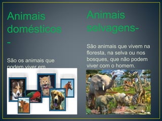 Animais
domésticos
-
São os animais que
podem viver em
quintas ou nas casas.
Animais
selvagens-
São animais que vivem na
floresta, na selva ou nos
bosques, que não podem
viver com o homem.
 