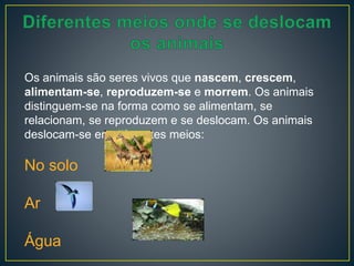 Os animais são seres vivos que nascem, crescem,
alimentam-se, reproduzem-se e morrem. Os animais
distinguem-se na forma como se alimentam, se
relacionam, se reproduzem e se deslocam. Os animais
deslocam-se em diferentes meios:
No solo
Ar
Água
 