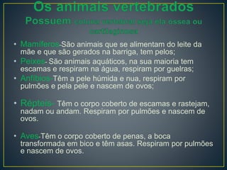 • Mamíferos-São animais que se alimentam do leite da
mãe e que são gerados na barriga, tem pelos;
• Peixes- São animais aquáticos, na sua maioria tem
escamas e respiram na água, respiram por guelras;
• Anfíbios-Têm a pele húmida e nua, respiram por
pulmões e pela pele e nascem de ovos;
• Répteis- Têm o corpo coberto de escamas e rastejam,
nadam ou andam. Respiram por pulmões e nascem de
ovos.
• Aves-Têm o corpo coberto de penas, a boca
transformada em bico e têm asas. Respiram por pulmões
e nascem de ovos.
 