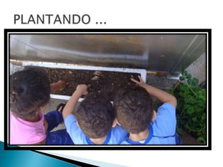 Projeto ovelha   apresentação