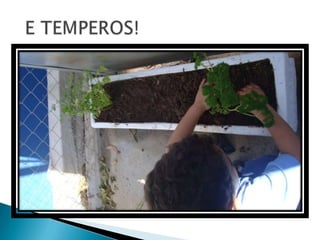 Projeto ovelha   apresentação