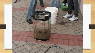 Projeto paleontólogos