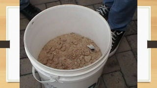 Projeto paleontólogos