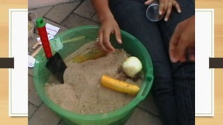 Projeto paleontólogos