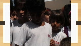 Projeto paleontólogos