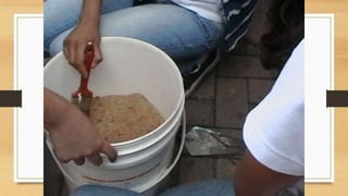 Projeto paleontólogos