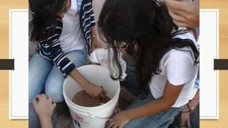 Projeto paleontólogos