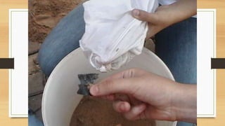 Projeto paleontólogos