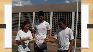 Projeto paleontólogos