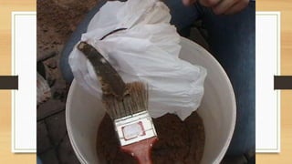 Projeto paleontólogos