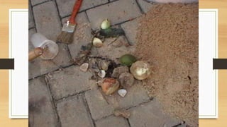 Projeto paleontólogos