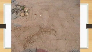 Projeto paleontólogos