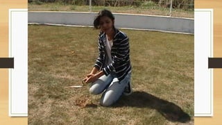 Projeto paleontólogos