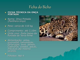 Ficha do Bicho
 FICHA TÉCNICA DA ONÇA
PINTADA
 Nome: Onça Pintada
(Panthera onça)
 Peso: cerca de 110 kg
 Comprimento: até 2,10m
 Onde vive: Parte baixa da
floresta de Terra firme
 Alimentação: antas,
queixadas, tamanduás,
tartarugas, aves, peixes,
Capivaras, veados, pacas,
macacos até mesmo
jacarés.

Filhotes: Até 4
 