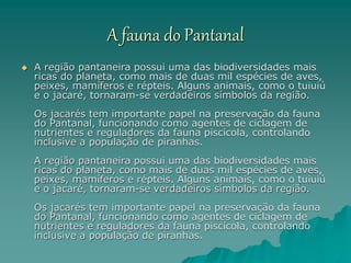 A fauna do Pantanal
 A região pantaneira possui uma das biodiversidades mais
ricas do planeta, como mais de duas mil espécies de aves,
peixes, mamíferos e répteis. Alguns animais, como o tuiuiú
e o jacaré, tornaram-se verdadeiros símbolos da região.
Os jacarés tem importante papel na preservação da fauna
do Pantanal, funcionando como agentes de ciclagem de
nutrientes e reguladores da fauna piscícola, controlando
inclusive a população de piranhas.
A região pantaneira possui uma das biodiversidades mais
ricas do planeta, como mais de duas mil espécies de aves,
peixes, mamíferos e répteis. Alguns animais, como o tuiuiú
e o jacaré, tornaram-se verdadeiros símbolos da região.
Os jacarés tem importante papel na preservação da fauna
do Pantanal, funcionando como agentes de ciclagem de
nutrientes e reguladores da fauna piscícola, controlando
inclusive a população de piranhas.
 