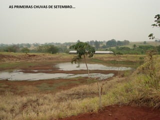 AS PRIMEIRA CHUVAS DE
SETEMBRO
A lagoa enche com as primeiras chuvas da primavera
AS PRIMEIRAS CHUVAS DE SETEMBRO...
 