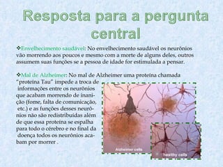 Envelhecimento saudável : No envelhecimento saudável os neurônios vão morrendo aos poucos e mesmo com a morte de alguns deles, outros assumem suas funções se a pessoa de idade for estimulada a pensar. Mal de Alzheimer : No mal de Alzheimer uma proteína chamada “proteína Tau” impede a troca de informações entre os neurônios  que acabam morrendo de inani- ção (fome, falta de comunicação, etc.) e as funções desses neurô- nios não são redistribuídas além  de que essa proteína se espalha  para todo o cérebro e no final da doença todos os neurônios aca- bam por morrer .  