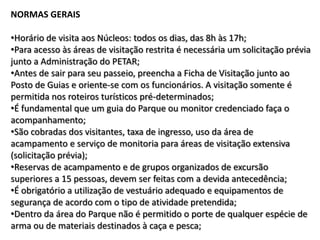 NORMAS GERAIS

•Horário de visita aos Núcleos: todos os dias, das 8h às 17h;
•Para acesso às áreas de visitação restrita é necessária um solicitação prévia
junto a Administração do PETAR;
•Antes de sair para seu passeio, preencha a Ficha de Visitação junto ao
Posto de Guias e oriente-se com os funcionários. A visitação somente é
permitida nos roteiros turísticos pré-determinados;
•É fundamental que um guia do Parque ou monitor credenciado faça o
acompanhamento;
•São cobradas dos visitantes, taxa de ingresso, uso da área de
acampamento e serviço de monitoria para áreas de visitação extensiva
(solicitação prévia);
•Reservas de acampamento e de grupos organizados de excursão
superiores a 15 pessoas, devem ser feitas com a devida antecedência;
•É obrigatório a utilização de vestuário adequado e equipamentos de
segurança de acordo com o tipo de atividade pretendida;
•Dentro da área do Parque não é permitido o porte de qualquer espécie de
arma ou de materiais destinados à caça e pesca;
 