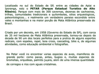Localizado no sul do Estado de SP, entre as cidades de Apiaí e
Iporanga, está o PETAR (Parque Estadual Turístico do Alto
Ribeira). Parque com mais de 300 cavernas, dezenas de cachoeiras,
trilhas, comunidades tradicionais e quilombolas, sítios arqueológicos,
paleontológicos... é realmente um verdadeiro paraíso escondido entre
vales e montanhas e na maior porção de Mata Atlântica preservada do
Brasil.


Criado por um decreto, em 1958 (Governo do Estado de SP), com cerca
de 35 mil hectares de Mata Atlântica preservada, tornou-se depois da
década de 90 um dos locais perfeitos para a prática de alguns esportes
radicais, com espeleo, rapel, bóia cross, cascading, bike e, de algumas
atividades, como educação ambiental e fotografias.



 No Petar você irá encontrar várias espécies de aves, mamíferos de
 grande porte: como pacas, antas, bugios e, muitas espécies de
 bromélias, orquídeas, palmito juçara, além de uma imensa quantidade
 de córregos e rios com águas cristalinas.
 
